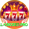 all cricket Slots Gold v1.4.1