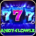 andy flower Max v4.2.7