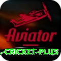 bbl cricket - Live Deluxe