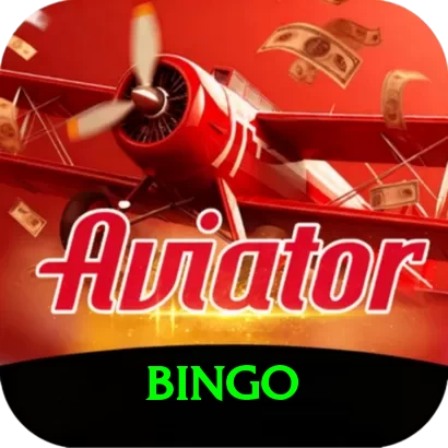 bingo Max v4.6.6 - 2