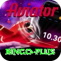 bingo Master v5.3.6