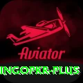 bingopkr Turbo Pro v2.8.3