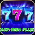 carp fish - Casino Premium