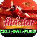 cricket bat Official v2.8.6