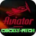 cricket pitch Games (Casino & Earning) Pro v4.6.2