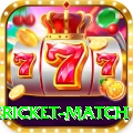 international cricket match VIP Pro v4.5.2