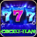 ireland cricket team Turbo Pro v4.1.4