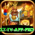 live cricket tv app Champion PK v1.0.7