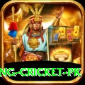 make money betting cricket pk Apps (Tools & Injectors) Turbo v4.9.1