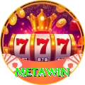 Metawin VIP v5.2.9
