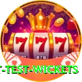 most test wickets Master v3.4.3
