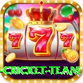 new zealand cricket team Elite v1.6.8