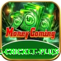 online cricket Deluxe 2024
