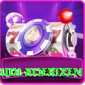 rudi koertzen Master Pro v4.0.8