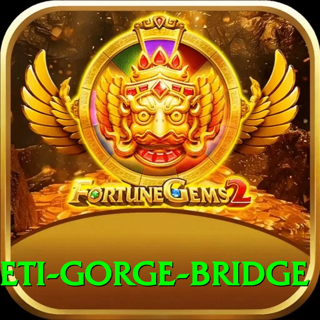 seti gorge bridge Pro Edition v3.6.4 - 2
