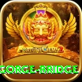 seti gorge bridge Pro Edition v3.6.4