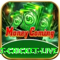 smart cricket live App