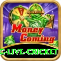 smartcric live cricket VIP v3.4.1