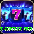 test cricket - Real Money King