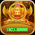 tiger888 Premium Plus vv1.7.4