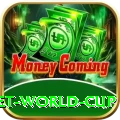 under 19 cricket world cup Premium Edition v5.7.3