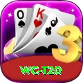 wc t20 Pro Max v5.9.9