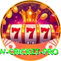 willow cricket Official v3.8.9